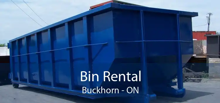 Bin Rental Buckhorn - ON