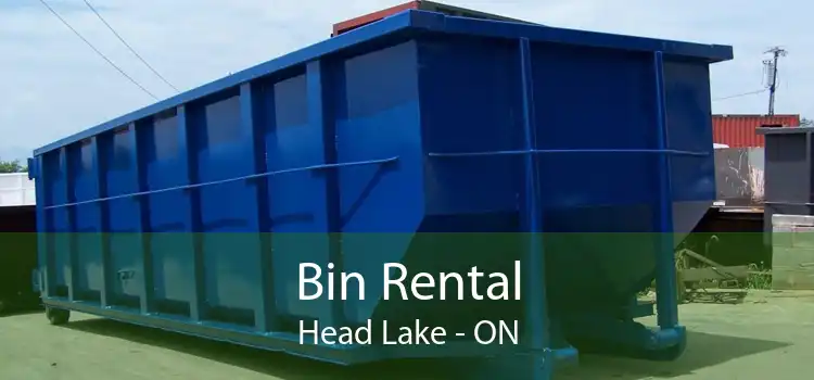 Bin Rental Head Lake - ON