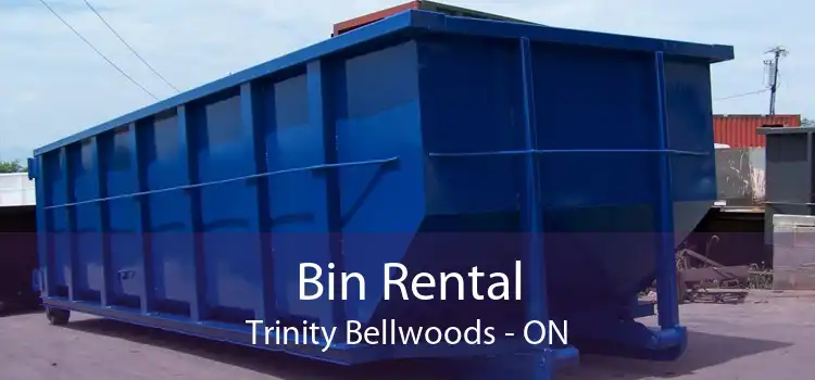 Bin Rental Trinity Bellwoods - ON