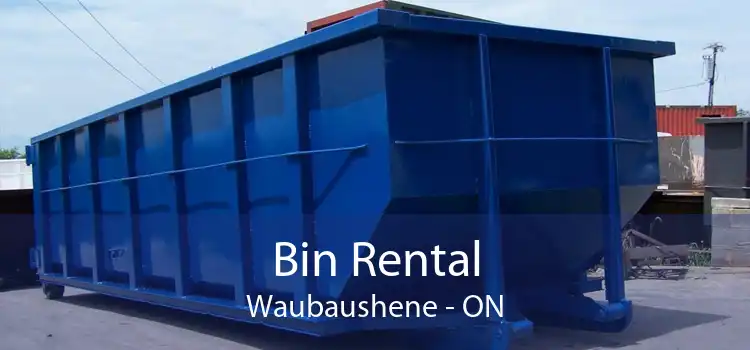 Bin Rental Waubaushene - ON