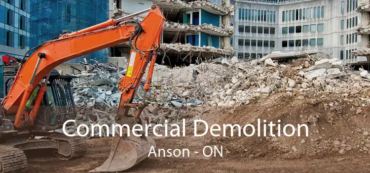 Commercial Demolition Anson - ON