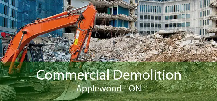 Commercial Demolition Applewood - ON