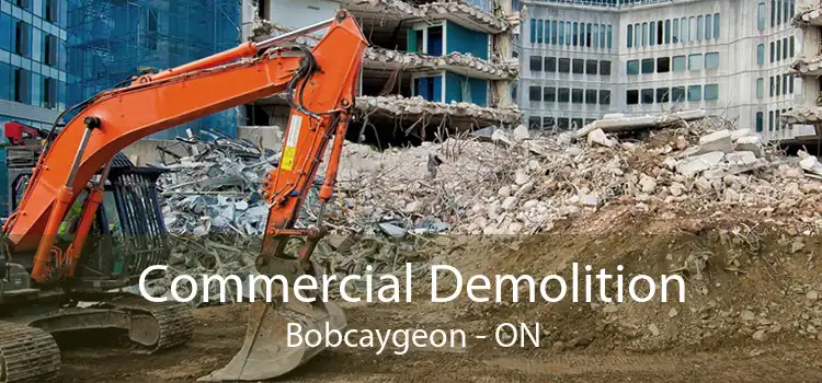 Commercial Demolition Bobcaygeon - ON