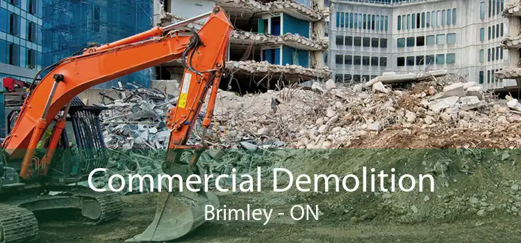 Commercial Demolition Brimley - ON