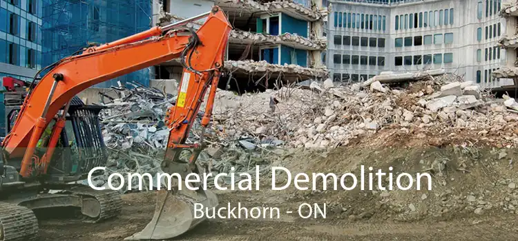 Commercial Demolition Buckhorn - ON