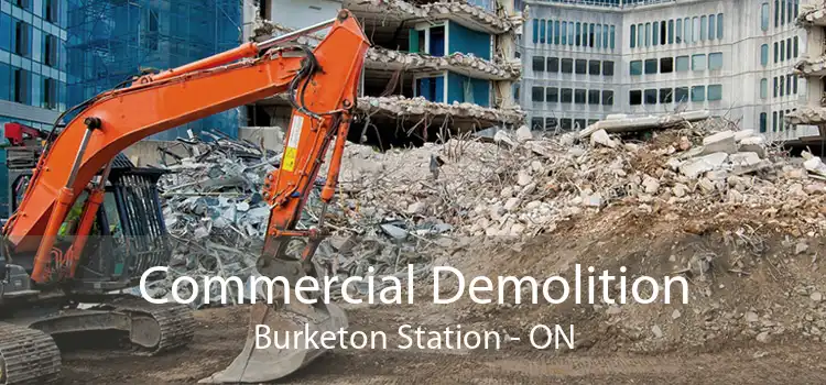 Commercial Demolition Burketon Station - ON