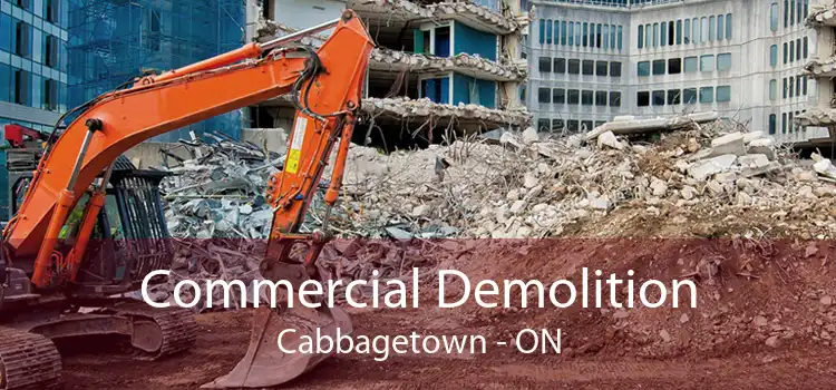 Commercial Demolition Cabbagetown - ON