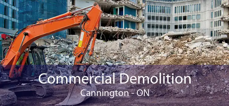 Commercial Demolition Cannington - ON