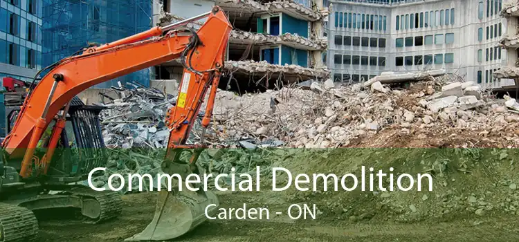 Commercial Demolition Carden - ON