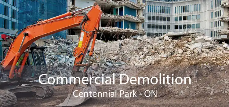 Commercial Demolition Centennial Park - ON
