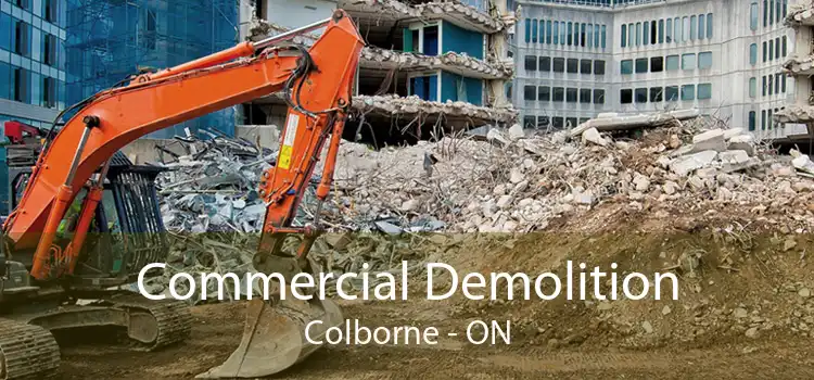Commercial Demolition Colborne - ON