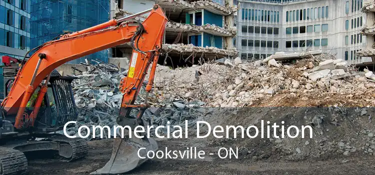 Commercial Demolition Cooksville - ON