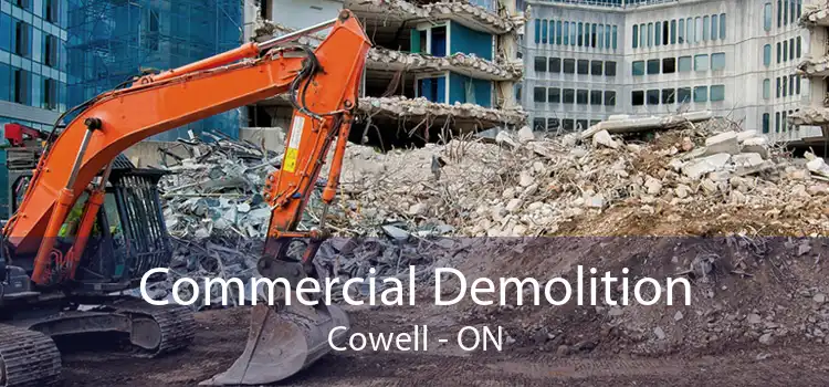 Commercial Demolition Cowell - ON
