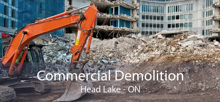 Commercial Demolition Head Lake - ON