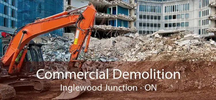 Commercial Demolition Inglewood Junction - ON