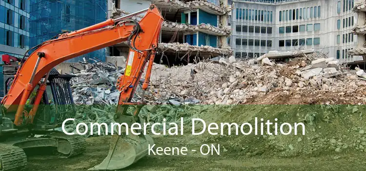 Commercial Demolition Keene - ON