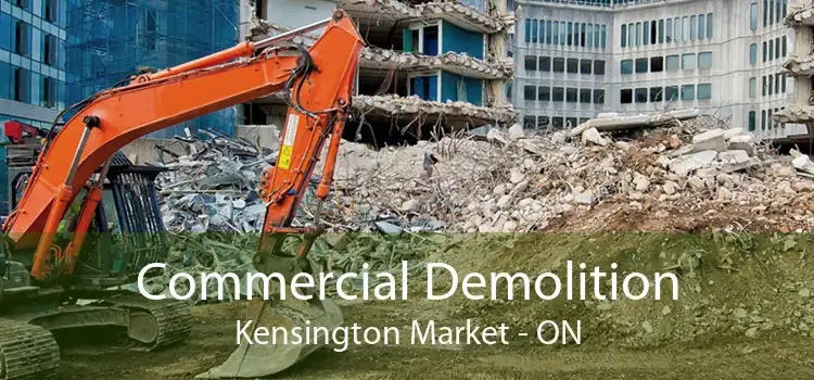 Commercial Demolition Kensington Market - ON