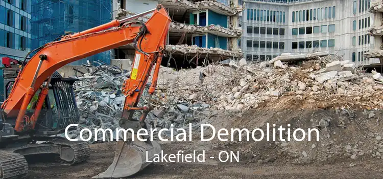 Commercial Demolition Lakefield - ON