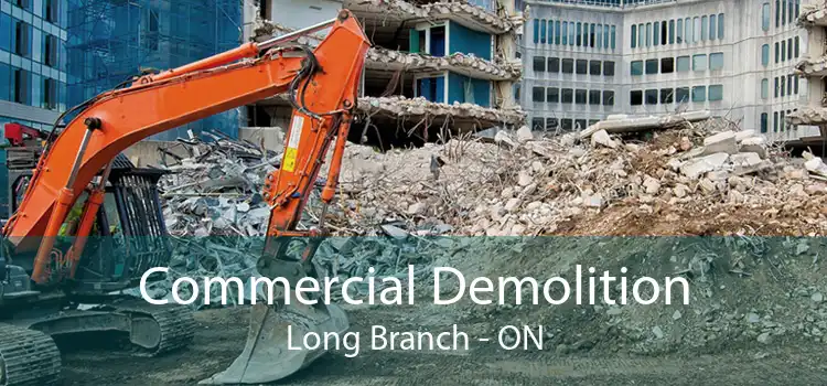 Commercial Demolition Long Branch - ON