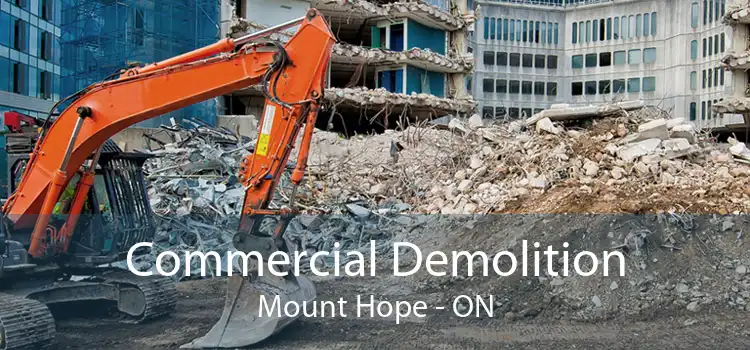 Commercial Demolition Mount Hope - ON