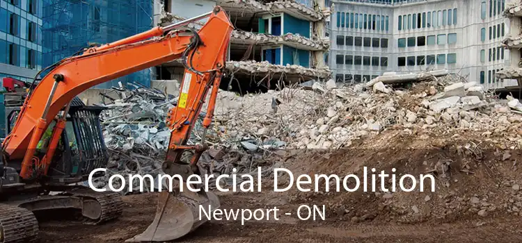 Commercial Demolition Newport - ON