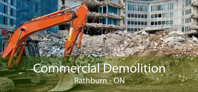 Commercial Demolition Rathburn - ON