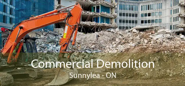 Commercial Demolition Sunnylea - ON