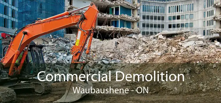Commercial Demolition Waubaushene - ON