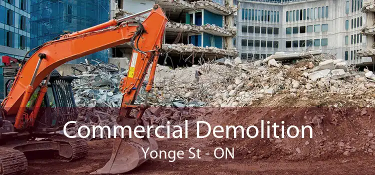 Commercial Demolition Yonge St - ON