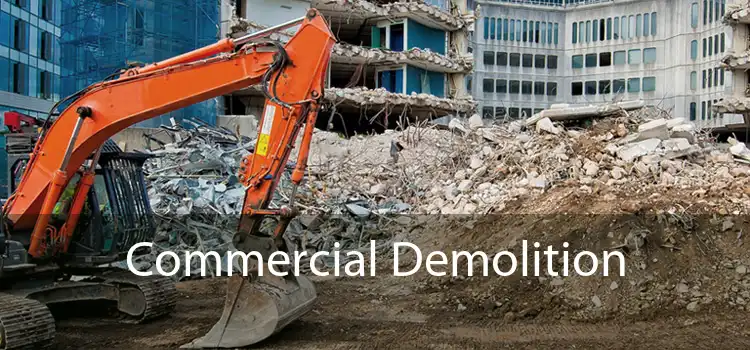 Commercial Demolition