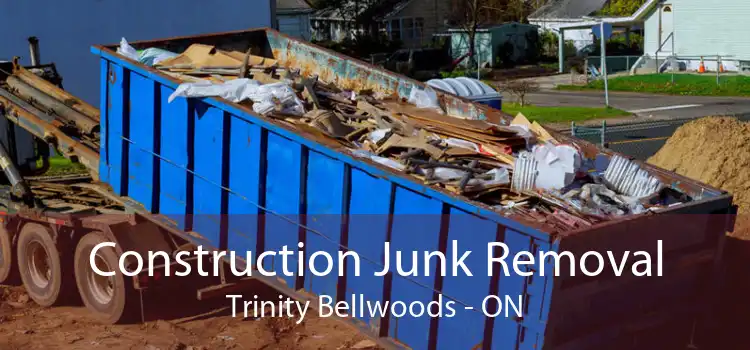 Construction Junk Removal Trinity Bellwoods - ON
