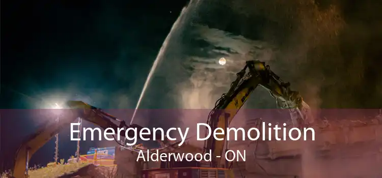 Emergency Demolition Alderwood - ON