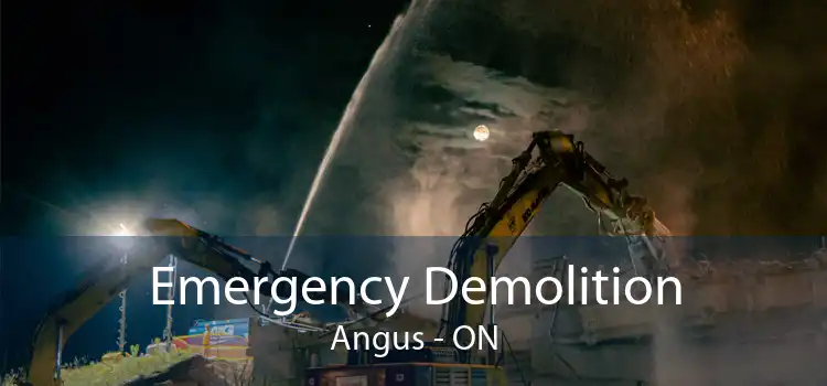 Emergency Demolition Angus - ON