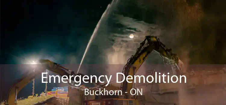 Emergency Demolition Buckhorn - ON
