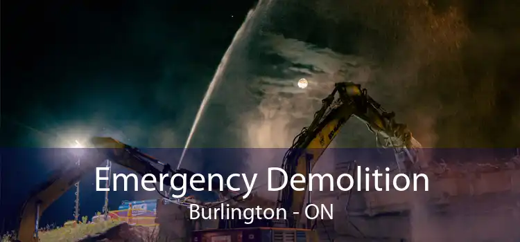 Emergency Demolition Burlington - ON