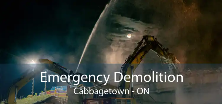 Emergency Demolition Cabbagetown - ON