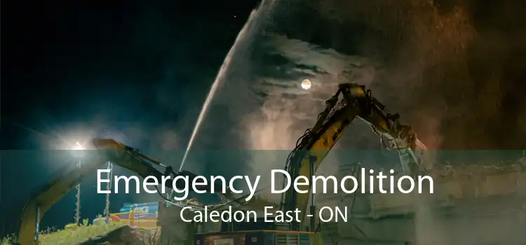 Emergency Demolition Caledon East - ON