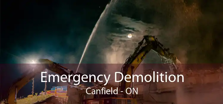 Emergency Demolition Canfield - ON