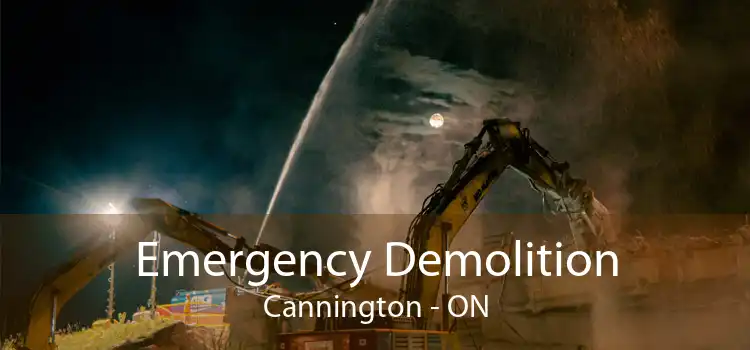 Emergency Demolition Cannington - ON