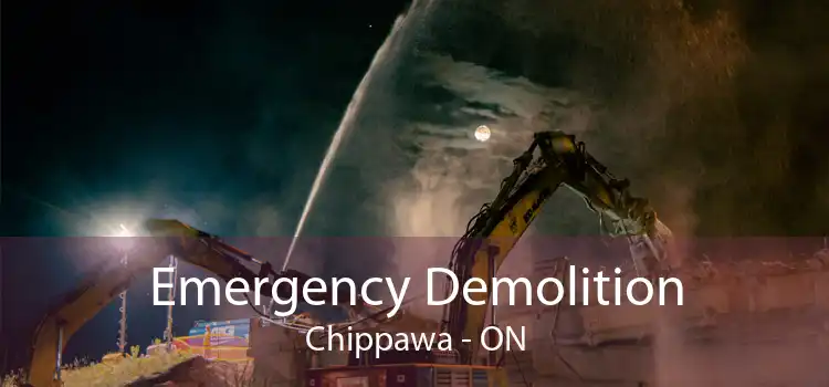 Emergency Demolition Chippawa - ON