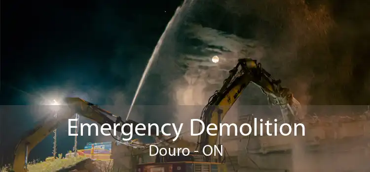 Emergency Demolition Douro - ON