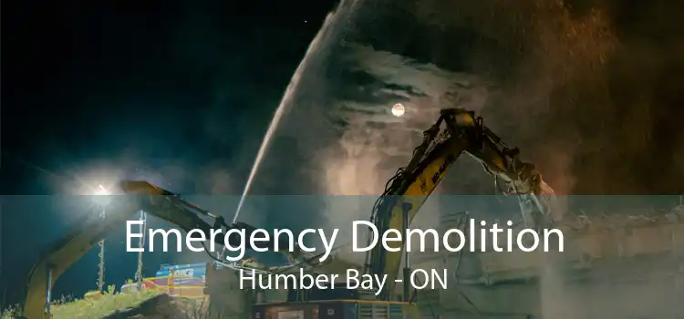 Emergency Demolition Humber Bay - ON