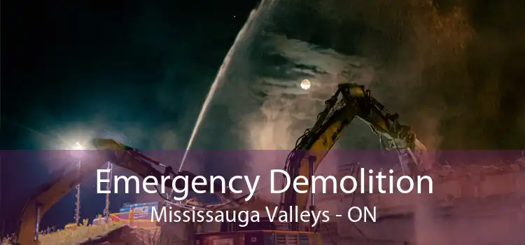 Emergency Demolition Mississauga Valleys - ON