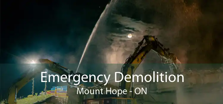 Emergency Demolition Mount Hope - ON