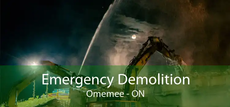 Emergency Demolition Omemee - ON