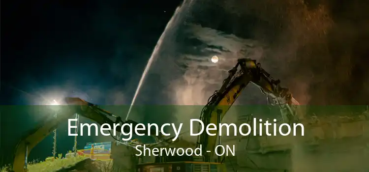 Emergency Demolition Sherwood - ON