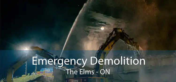 Emergency Demolition The Elms - ON