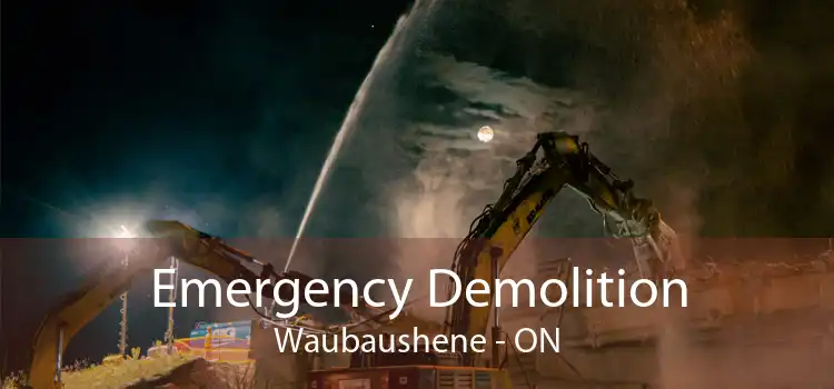 Emergency Demolition Waubaushene - ON