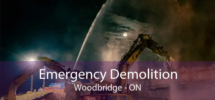 Emergency Demolition Woodbridge - ON