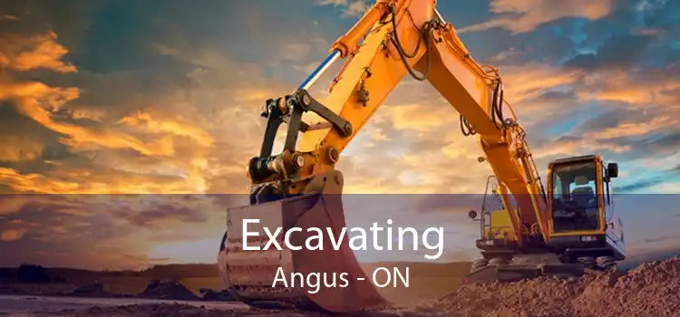 Excavating Angus - ON